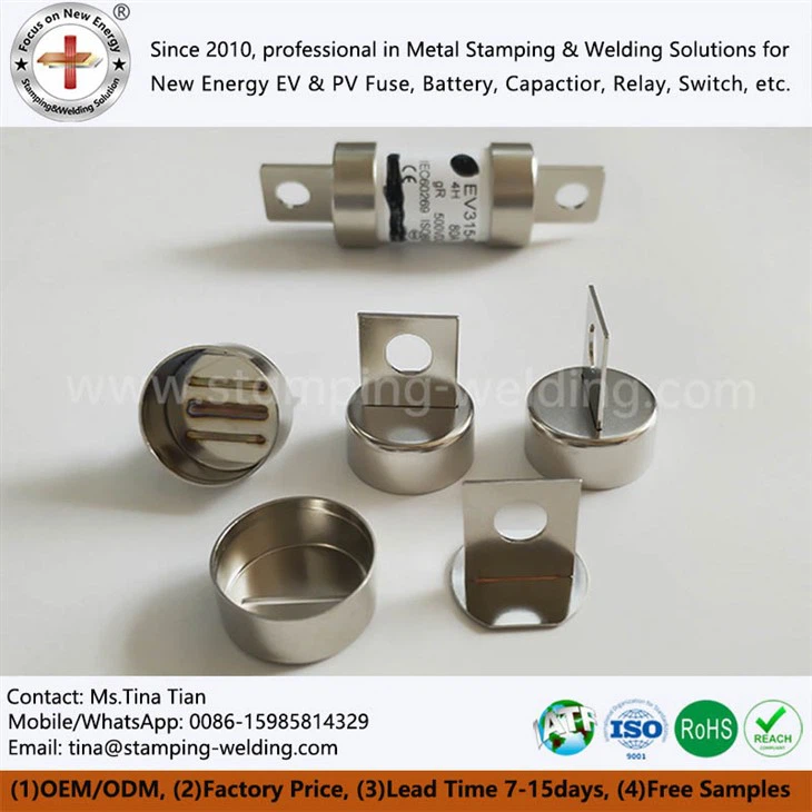 Fuse End Blades For EV